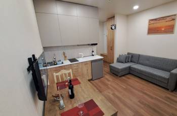 Apartment for rent in Batumi daily