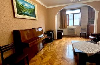 Rent daily near the dolphinarium
