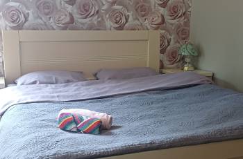 For rent in Borjomi daily