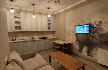 Newly built apartment for daily rent in Didi Dighomi