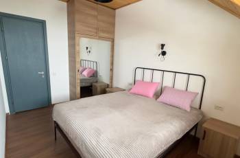 Ina for rent in Bakuriani