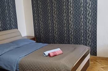 For rent in Borjomi daily