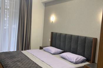 ბინა დღიურად