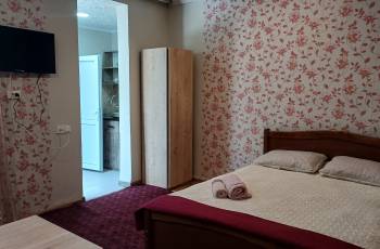 For rent in Borjomi daily