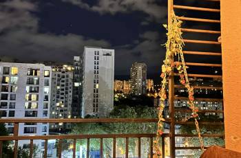 For daily rent at Saburtalo