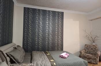 For rent in Borjomi daily