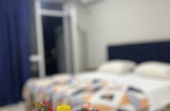 +995574550399 для посуточной аренды