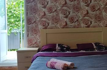 For rent in Borjomi daily