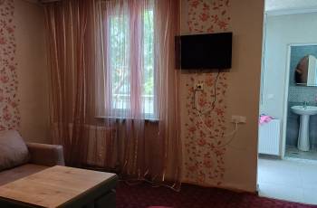 For rent in Borjomi daily