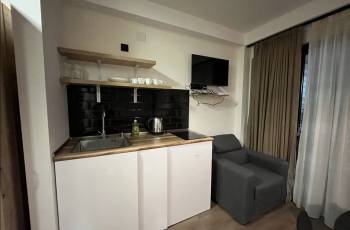 ბინა გუდაურში