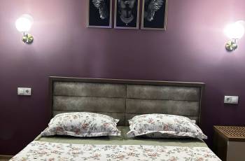 ქირავდება ბინა დღიურად ძველ რუსთავში