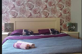 For rent in Borjomi daily