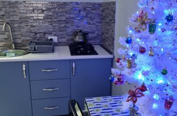 Квартира-студия в аренду