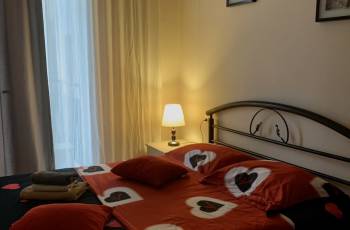 ბინა დღიურად