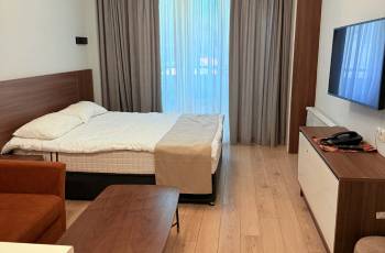 სასტუმრო ბაკურიანᲨი