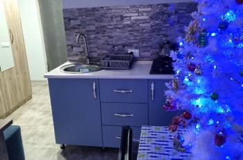 Квартира-студия в аренду