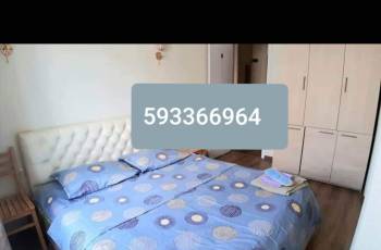 ქირავდება დღიურად