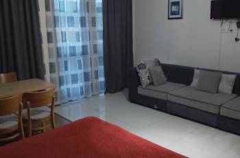 Сдается квартира в Бакуриани