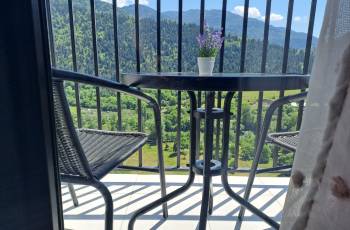 New renovated studio apartment for rent