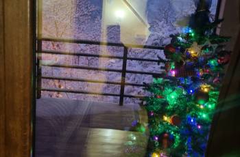 ქირავდება აივნიანი ბინა მთის პანორამული ხედით