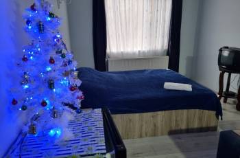 Квартира-студия в аренду