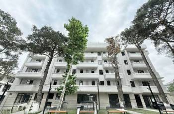 I rent apartments daily and hourly