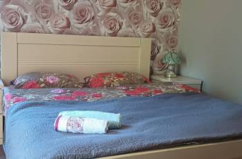 ქირავდება ბორჯომში დღიურად 