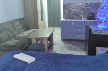 Studio apartment for rent