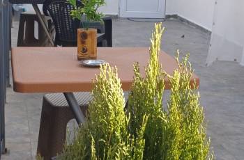 For rent in Borjomi daily