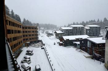 Hotel room for rent Bakurianshk