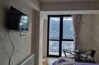 New renovated studio apartment for rent