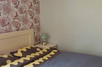 Сдается в Боржоми посуточно