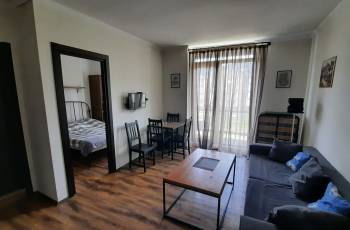 Apartment in Bakuriani passenger complex