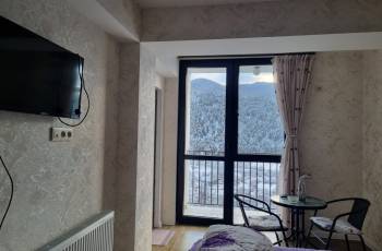 New renovated studio apartment for rent