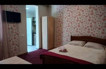 ქირავდება ბორჯომში დღიურად 