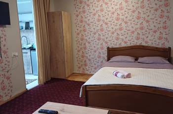 For rent in Borjomi daily