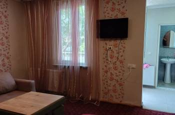 For rent in Borjomi daily