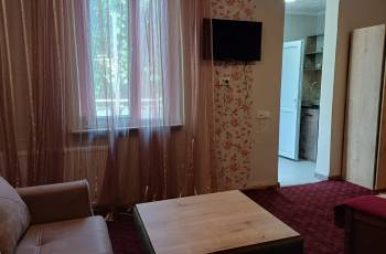 For rent in Borjomi daily