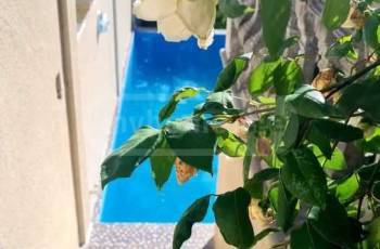 Дачные дома Мухяна