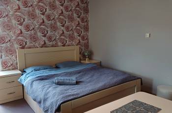 For rent in Borjomi daily