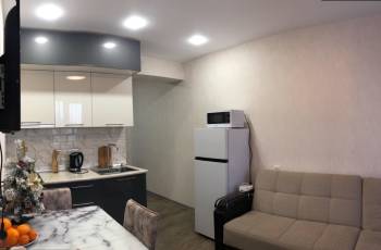 Apartment for rent in Bakuriani, Didveli Residence