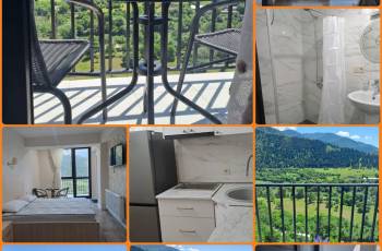 New renovated studio apartment for rent