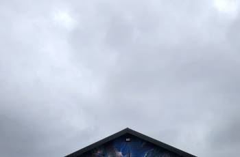 კოტეჯი ბაზალეთზე 