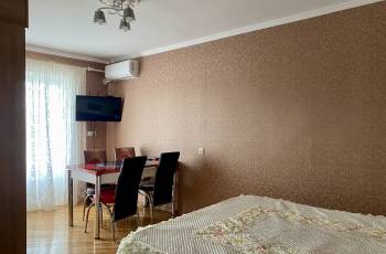 Newly renovated apartment on Agmashenebeli