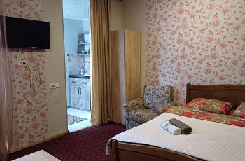 For rent in Borjomi daily