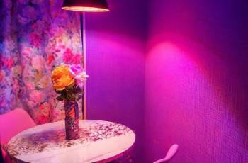 ქირავდება დღიურად ბინა რუსთავში