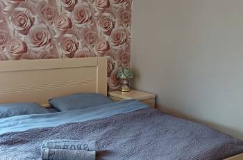 For rent in Borjomi daily