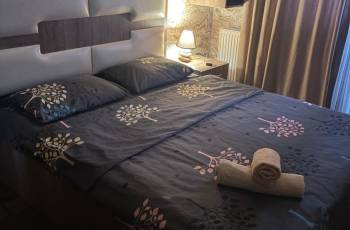 For daily rent near Akhmeteli metro station