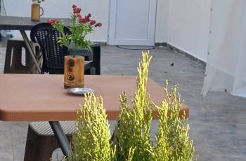 For rent in Borjomi daily, near the forest