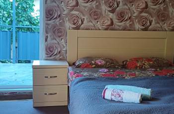 For rent in Borjomi daily, near the forest